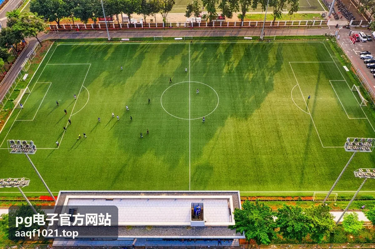 pg电子官方网站-进阶玩家攻略场景