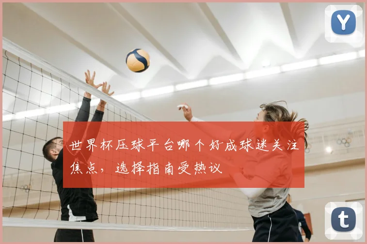 世界杯压球平台哪个好成球迷关注焦点，选择指南受热议
