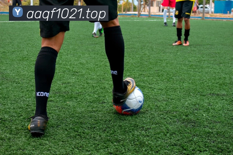 KAIYUN.COM·(中国)官方网站 - 开云服务体系