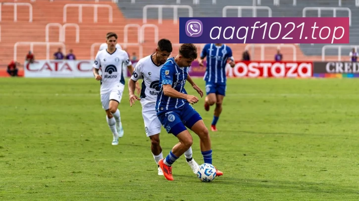 App Interface Preview