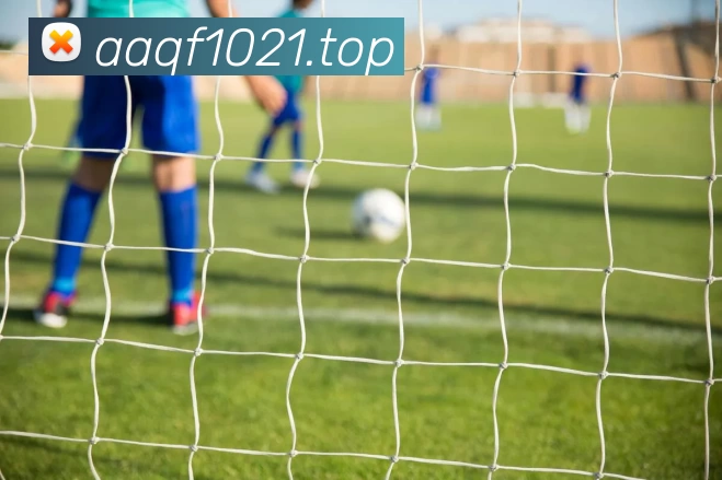 KAIYUN.COM·(中国)官方网站 - 开云APP 封面图